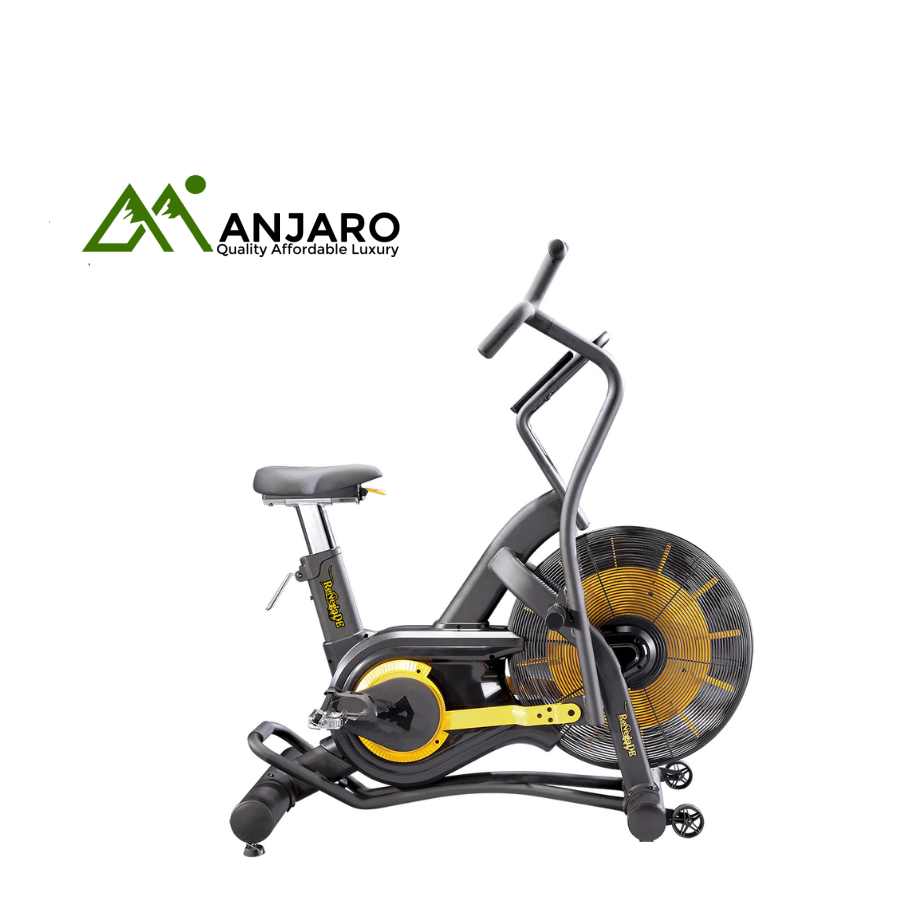 Renegade Air Bike AB100 – Dual Action Fan Bike for Total Body, Low-Impact HIIT & Rehabilitation
