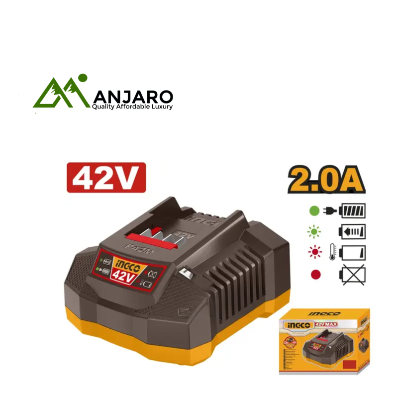 FCLI42021 P42M Battery Charger 42V – Fast, Smart, and Efficient Charging Solution