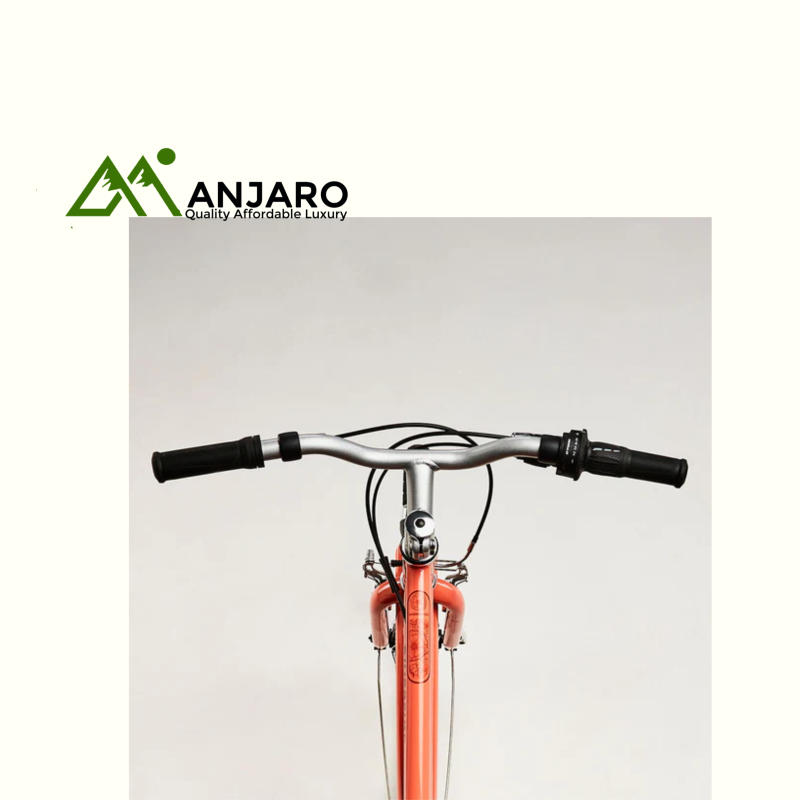 24" Hybrid Bike for Kids 9–12 Years – Riverside 500 Coral | 6-Speed, Road & Trail-Ready with LED Light