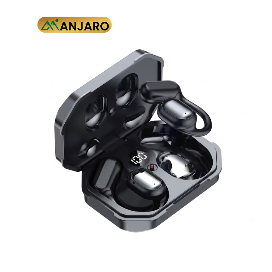 Bluetooth 5.3 True Wireless Earbuds with 300mAh Charging Case – Black & Silver C01