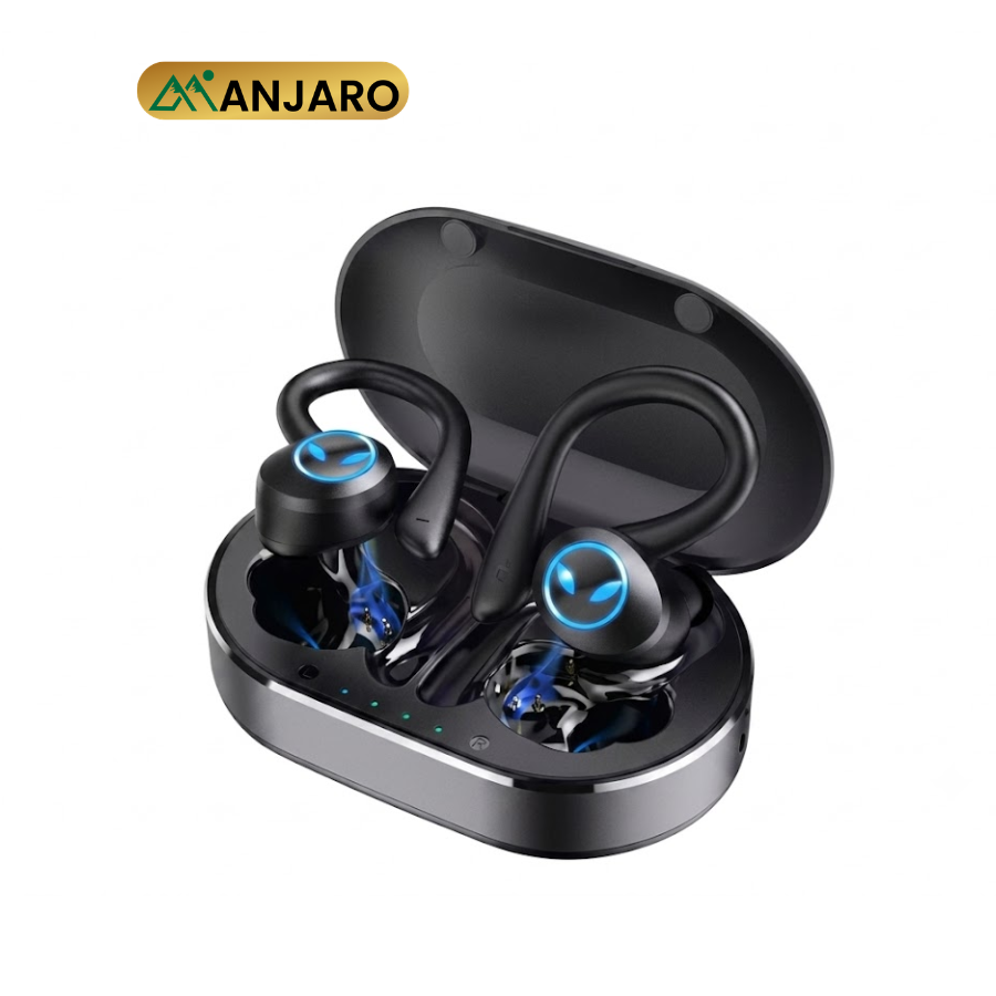 Bluetooth 5.3 Wireless Earbuds with 600mAh Charging Case – Black & Blue Stereo Earphones Q25